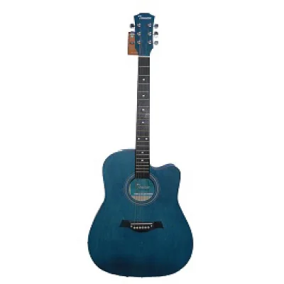 Tansen Guitar-41C Box Guitar With Bag, Picks, Guitar belt - Image 2