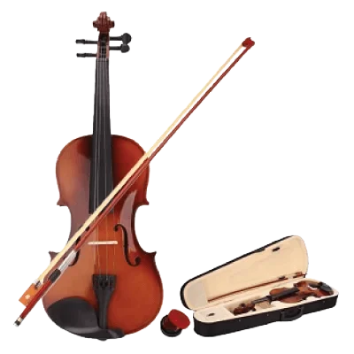 Tansen FM-4/4 Professional Violin with Case