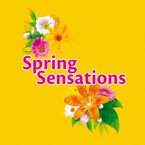 Sunlight 2 in 1 Freshness of Petals Yellow Detergent Powder Spring Sensations 850g X 2 - Image 3